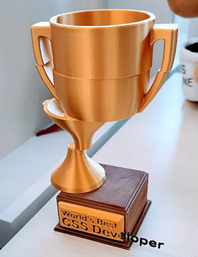 World's best CSS developer